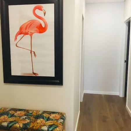 Apartamento Flamingo House -